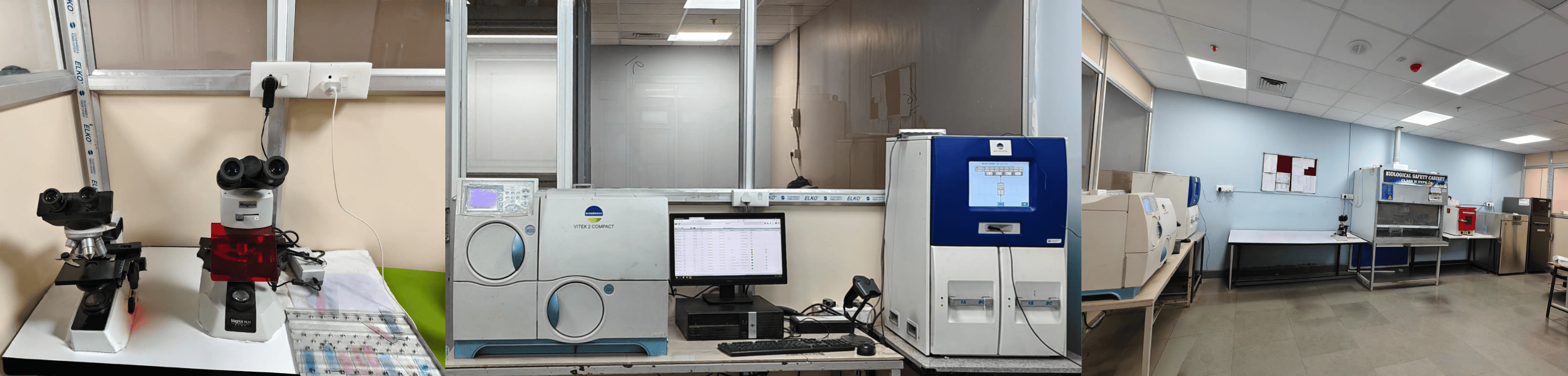 Clinical Microbiology & Immunology Services